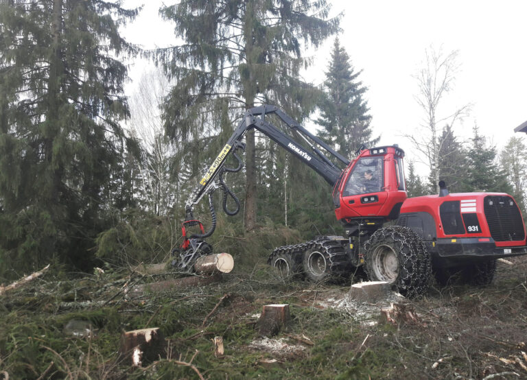 Metsäkone työssään