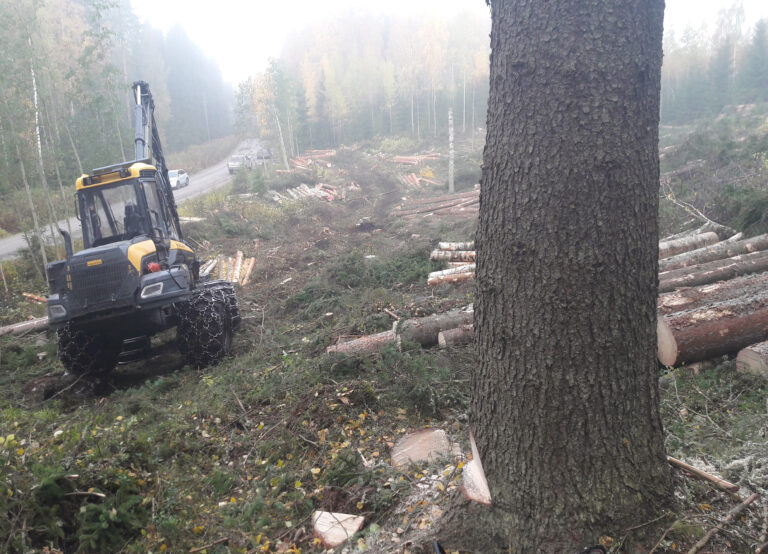 Toinen metsäkone työssään